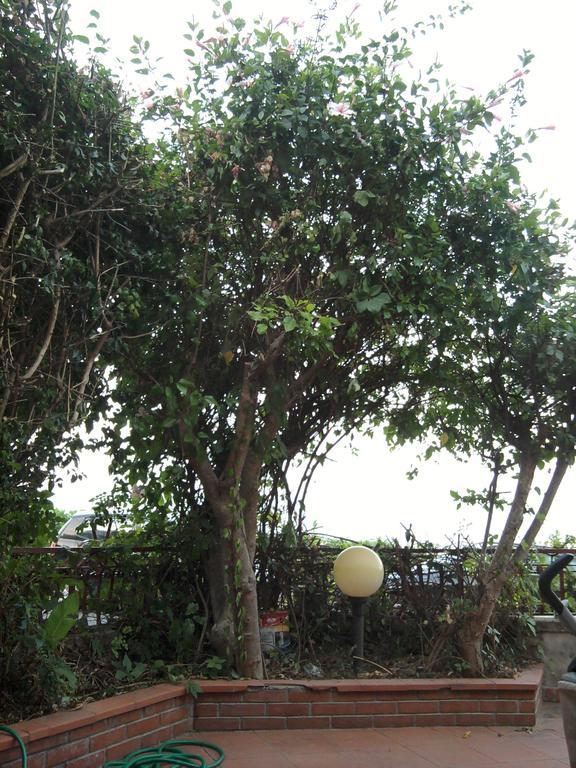 Appartamento Mare Letoianni Exterior foto